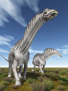 Dinosaurier Amargasaurus in einer Landschaft