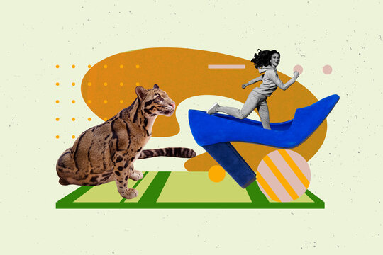 Creative full artwork pop collage of happy girl run inside heel shopping tiger zoo visitor pet shelter eco friendly fauna