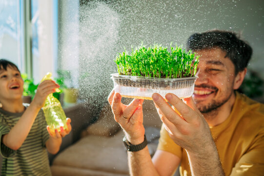 Father and son smiling while watering healthy microgreen at home