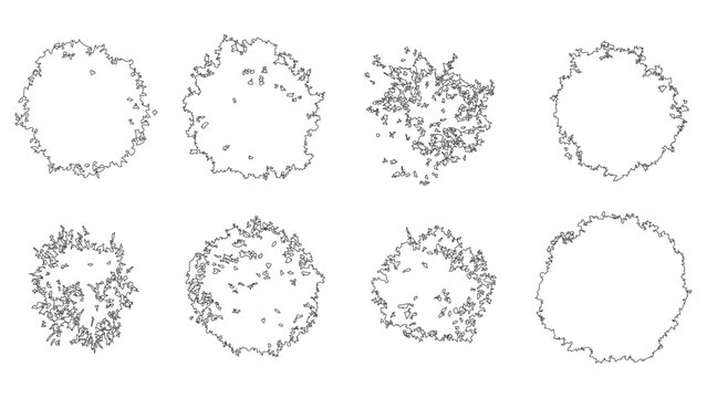 Top view of stylized tree crowns with intricate foliage patterns.
