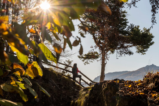 Outdoor adventure: Woman hiker with backpack observing sunny autumn mountain landscape with sun flare, framed by foliage, Forra del Lupo Trekking, Trentino, Italy. Lifestyle travel.