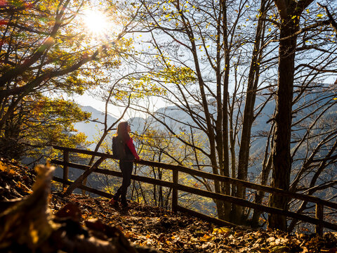 Woman hiker with backpack enjoying autumn mountain views and sunlight on a forest path, promoting outdoor lifestyle and exploration in Forra del Lupo, Trentino, Italy.