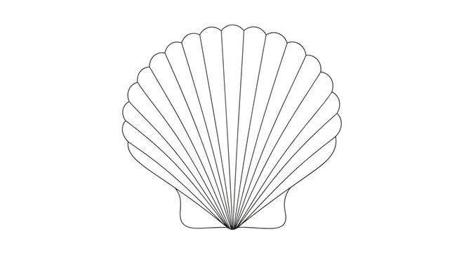 Scallop seashell depicted in a simple and clean black and white line art drawing showing its radial ribs.
