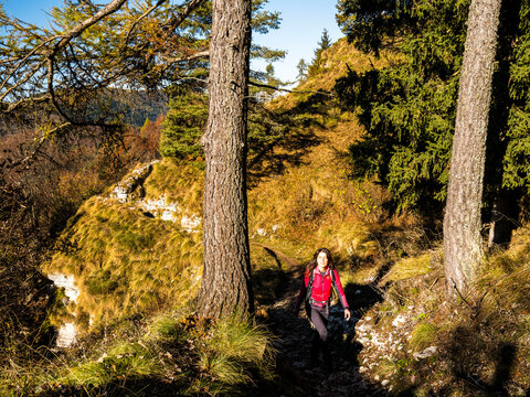 Outdoor adventure: Woman hiking a rocky path through a sunny autumn mountain forest, exploring Forra del Lupo Trekking, Great World War, Trentino, Italy.