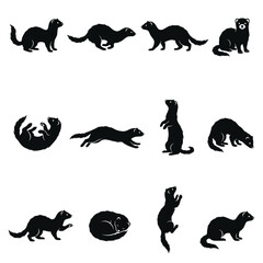 Fototapeta premium Black and white vector silhouette set of Ferret
