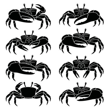 Black and white vector silhouette  set of Fiddler Crab