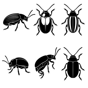 Black and white vector silhouette  set of Flea Beetle