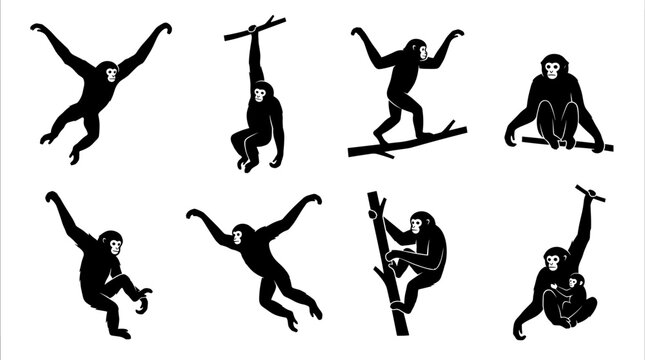 Black and white vector silhouette set of Gibbon