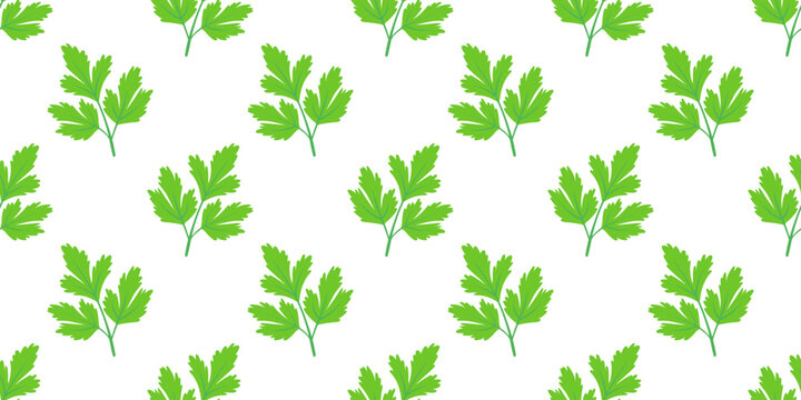 Seamless parsley leaf pattern fresh green herb repeat design for food packaging kitchen textile and organic culinary branding