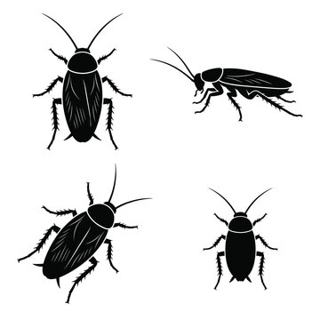 Black and white vector silhouette set of Cockroach