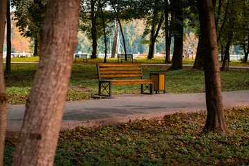 Fototapeten Waldweg Golden autumn park with empty benches and fallen leaves on the ground  © Artem Kniaz
