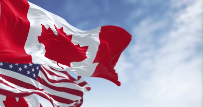Canada and american national flags waving in the wind on a clear day. North America Countries. Seamless 3d render animation. Slow motion loop. Selective focus