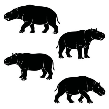 Black and white vector silhouette set of Coryphodon.