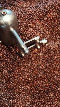 Professional Cinematic Vetical Action of Roasted Coffee Beans Agitating in Industrial Cooling Tray Close up texture