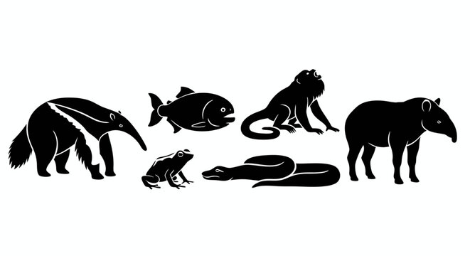Set of black silhouette icons featuring diverse amazon rainforest wildlife including giant anteater monkey piranha tapir frog and anaconda 