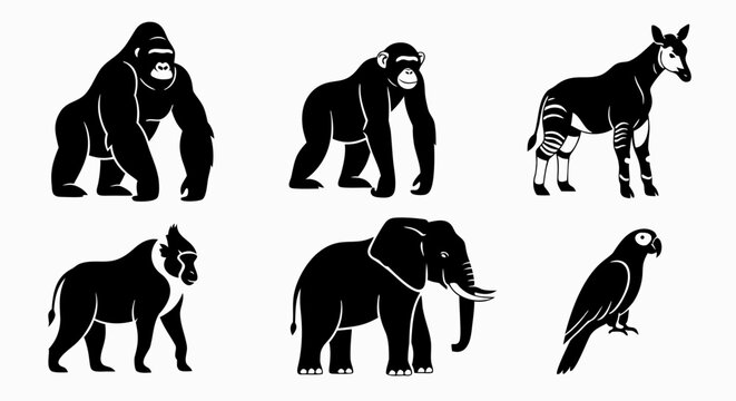 Collection of black animal silhouettes featuring elephant gorilla okapi parrot baboon and chimpanzee for minimalist nature emblems