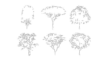 Architectural tree set top view for landscape design site planning and floor plan graphics. © Sara Studio