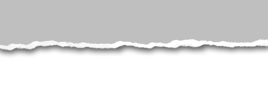 Gray torn paper strip isolated on transparent background for professional design work