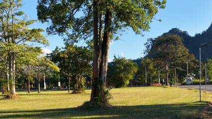 Naklejka premium Scenic View of Khao Yai Mountain Landscape with Trees and Grassland