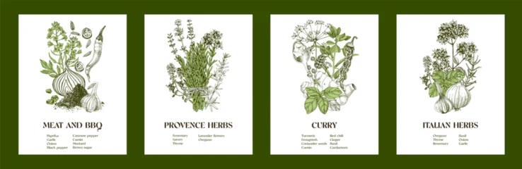 Hand drawn vector collection of classic spice blends © Marina Gorskaya