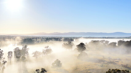 Fototapeta premium Aerial Sunrise Over Foggy Rural Landscape with Eucalyptus Trees in Tamworth