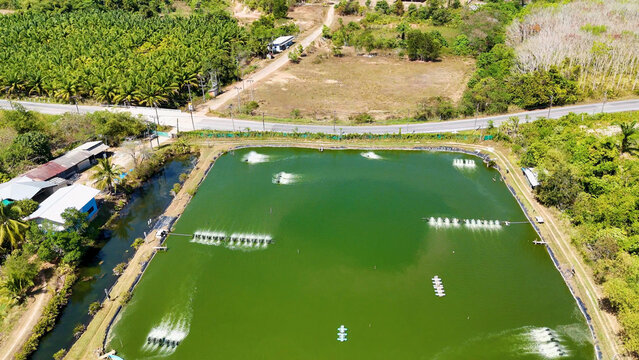 Aerial View of a Tropical Shrimp Farm Pond with Active Aeration Systems