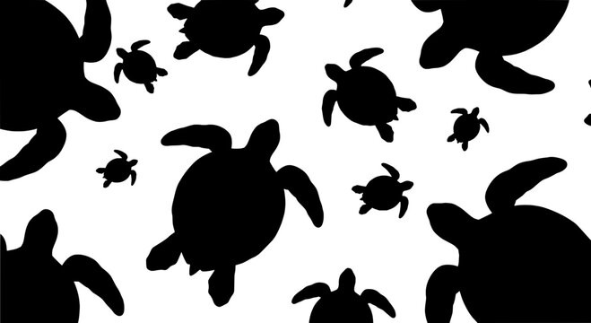 Turtle shell fauna silhouettes set with playful swimming creatures and turtle icons for wildlife design