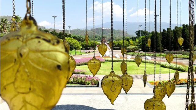 Gloden Bodhi leaves in Royal park Rajapruek, Chiangmai Thailand.