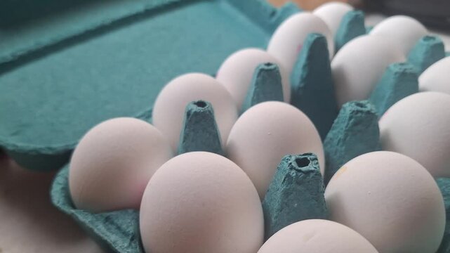Fresh white chicken eggs in a teal cardboard egg carton