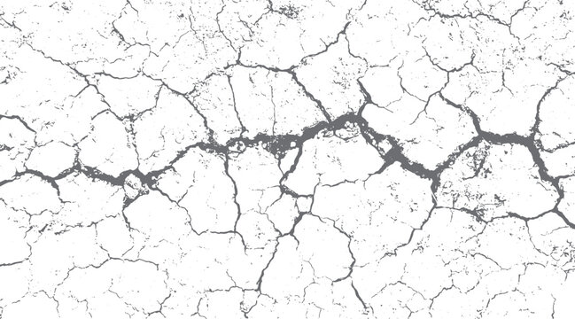 White background with detailed grey cracked earth texture pattern and scattered small dots abstract