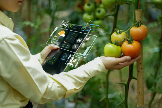 Agricultural technology concept: AI systems, people working on a farm using tablets controlled by cutting-edge technology for smart farming systems.