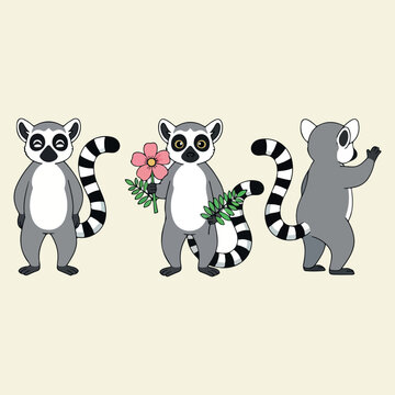 Cute lemur animal characters, Madagascar wildlife forest set, playful primate monkey icons, tropical animal behavior graphics, exotic zoo animal collection, funny lemur with flower, tail striped anima