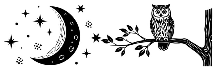 Obraz premium Night owl on tree branch with crescent moon and stars, mystical nocturnal forest scene vector illustration in woodcut style