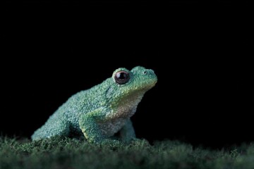 Obraz premium The is a closeup of a small frog sitting on a bed of green grass. the frog is facing towards the right side of the with its head slightly tilted upwards.