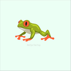 Fototapeta premium Red eyed tree frog cartoon illustration with green body, orange feet, tropical rainforest amphibian and cute wildlife character