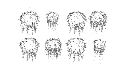 Set of hand drawn hanging bush branches silhouettes isolated on transparent background now. © Sara Studio