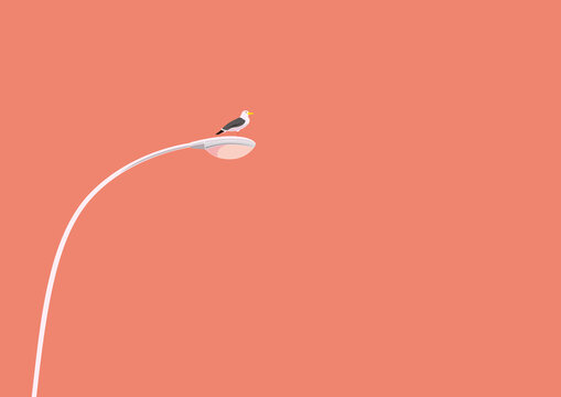 カモメと電灯と夕暮れのイラスト
