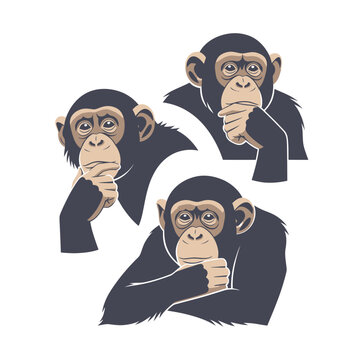 Three Wise Monkeys