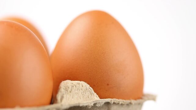 Close-up of raw brown chicken eggs in shells rotating on paper cardboard tray on a white background