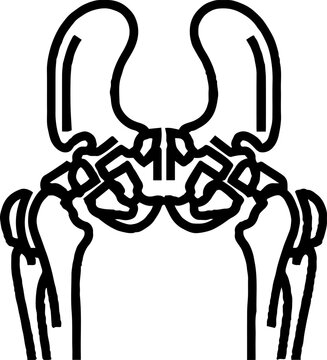 Human Pelvis and Hip Joint Skeletal Anatomy Icon