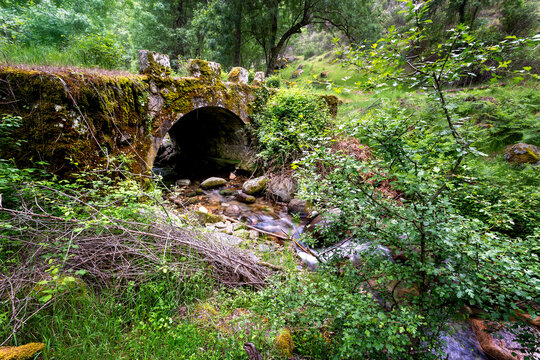 Puente en el arroyo