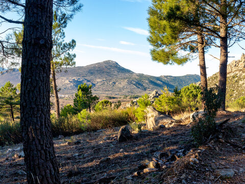 Cerro El Pend&oacute;n