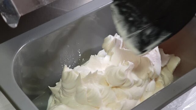 ice cream coming out of the ice cream maker. freshly made homemade ice cream