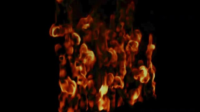 Dense Burning Fire Flame Wall on Black Background Animation