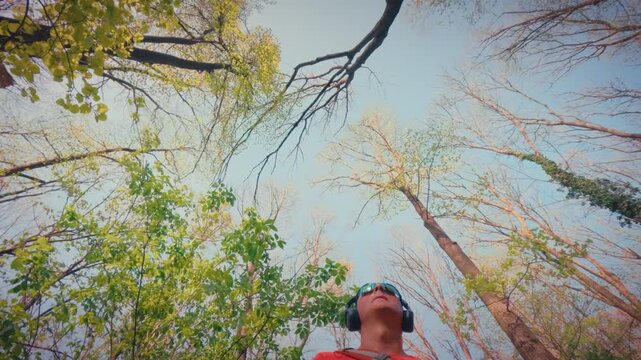Tranquil b-roll footage of the vibrant green forest canopy with sunshine breaking through the leaves. Atmospheric nature background, serene mood. 4k quality.