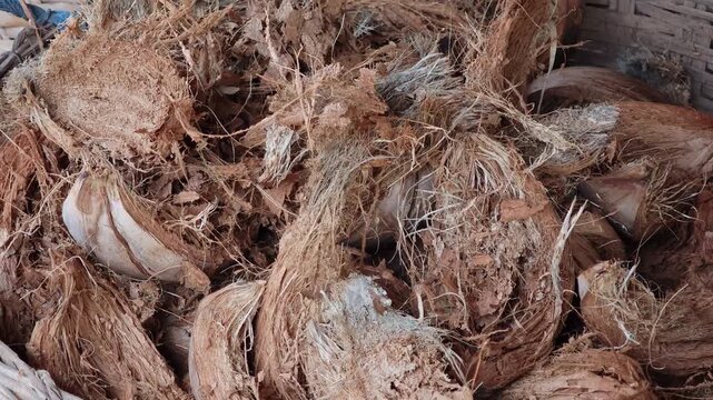 Pile Coconut husks are used to make fertilizer.
