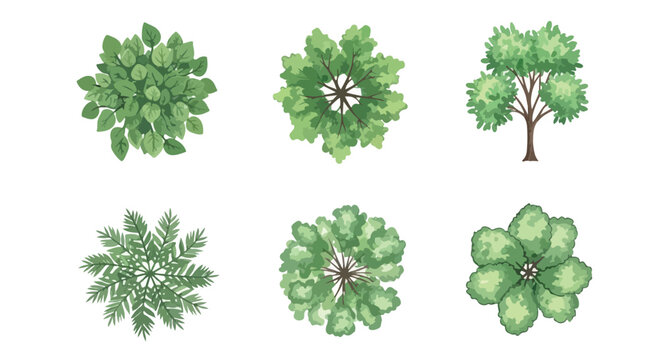 Top view tree vector set, 6 architectural landscape plan symbols, green garden plant icons for site mapping and urban design, aerial foliage elements