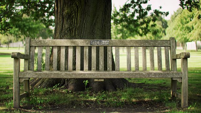 Stunning cinematic 4k vintage 16mm film shot of empty park bench under tree golden hour natural light for serene luxury travel advertisement