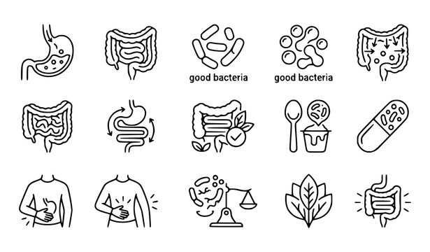 Gut health and digestion icons a comprehensive visual representation of the digestive system and microbiome