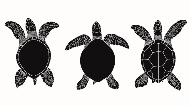 Three stylized, top-down views of turtles in black and white, against a solid background